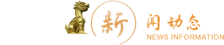 新闻动态